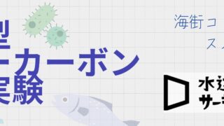 港区型ブルーカーボン実証実験とは？​
