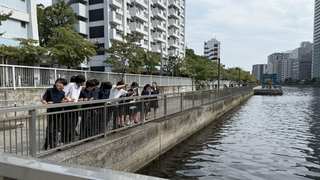 令和8年度港区型ブルーカーボン珪藻培養実験スタート